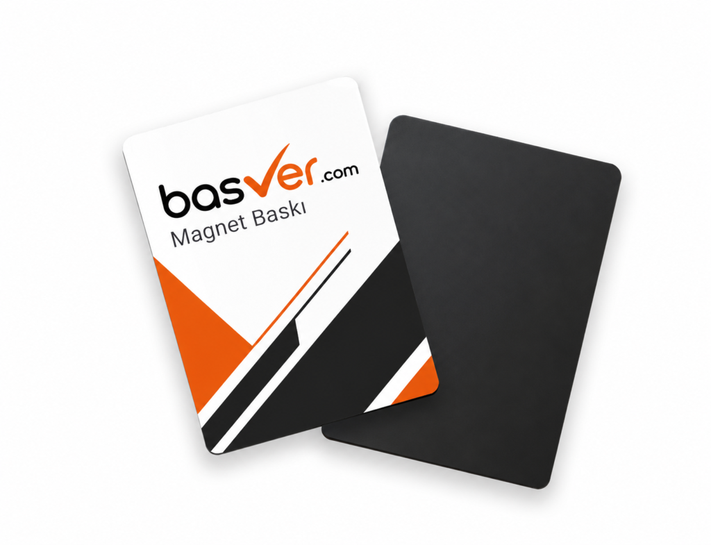 icon2.basver.com magnet